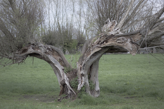 6945272292_7bb46c5067_z